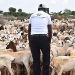 QURBANI APPEAL Burundi R1 250 | Goat