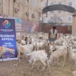 QURBANI APPEAL Yemen R2 600 | cow share